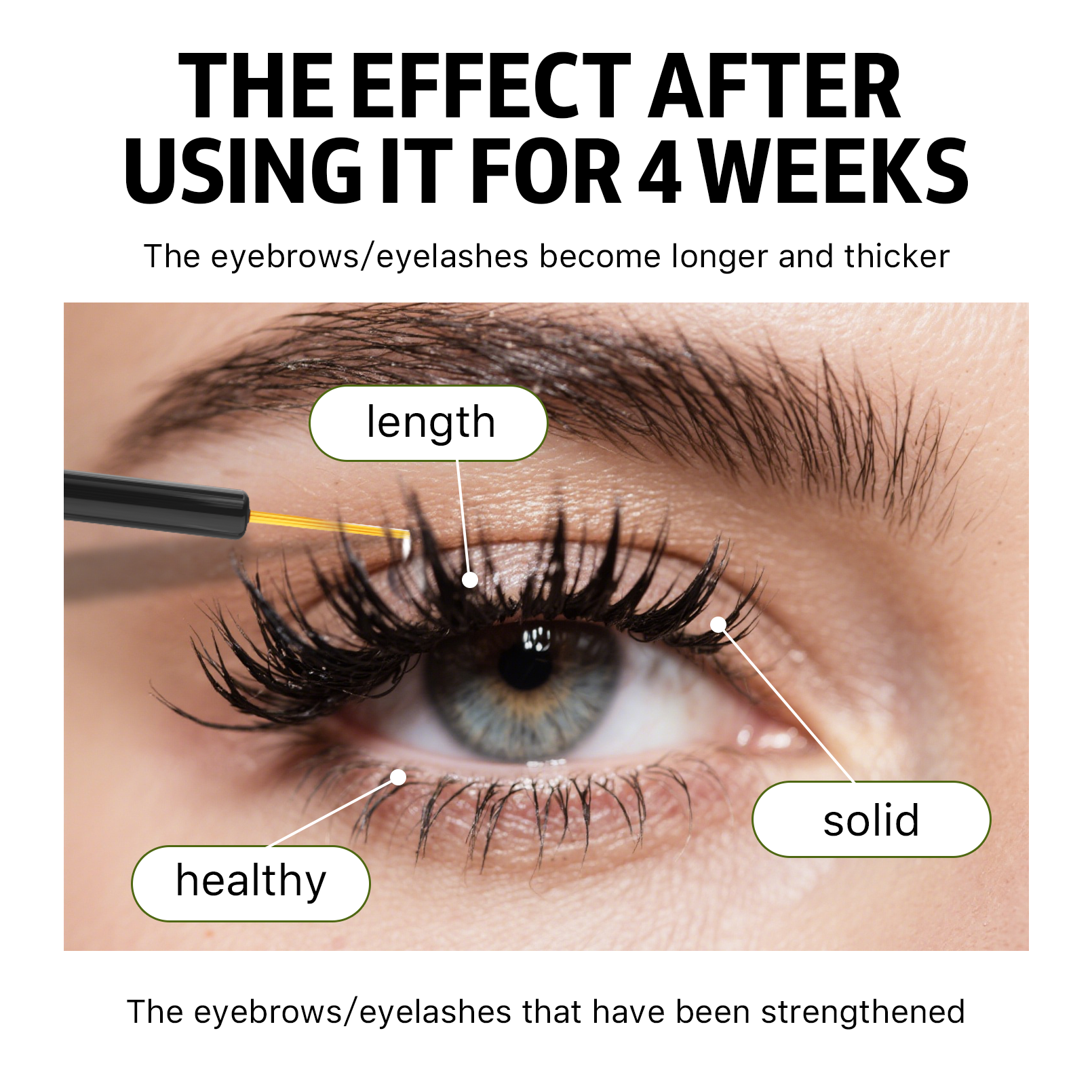 EYELASHES & EYEBROW SERUM